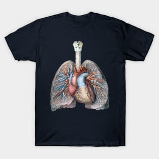 Vintage Science and Human Anatomy with Lungs, Heart, Organs and Blood Vessels T-Shirt